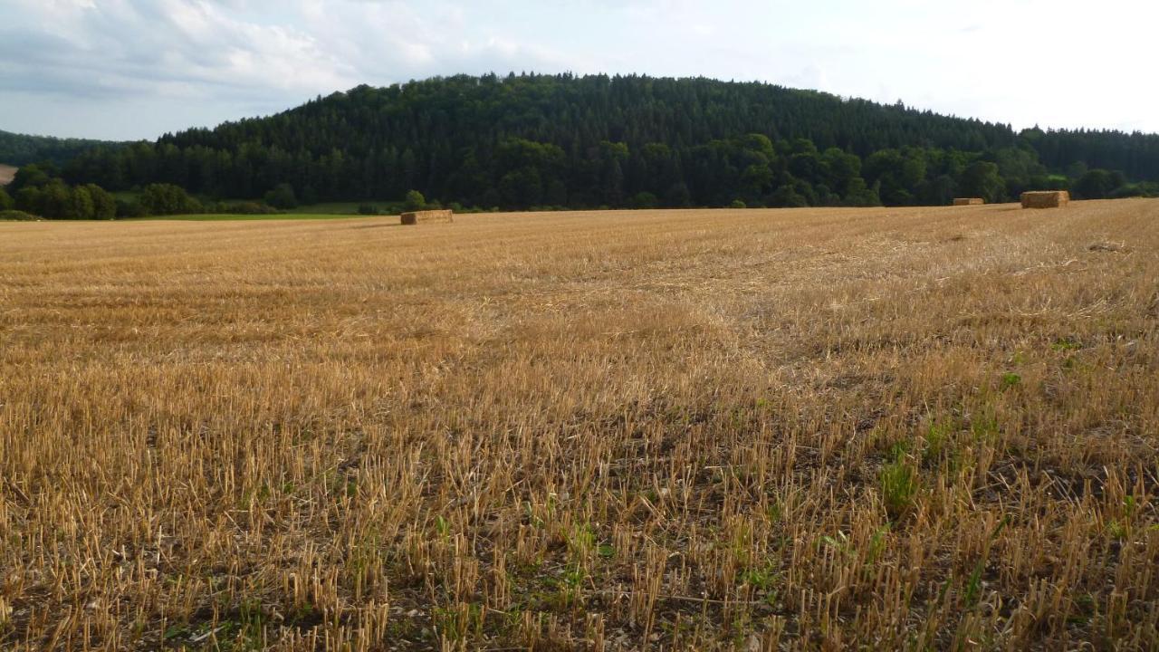 Ferienhaus Unteres Hart Gomadingen Esterno foto