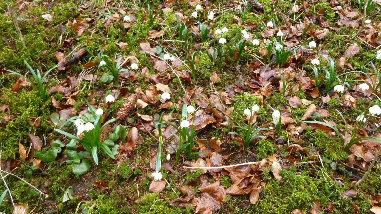 Ferienhaus Unteres Hart Gomadingen Esterno foto